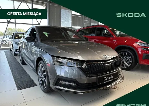 mazowieckie Skoda Octavia cena 187900 przebieg: 10, rok produkcji 2024 z Szydłowiec